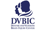 DVBIC